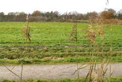 Die Beverwiesen vor und nach Begradigung der Bever
